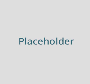 placeholder