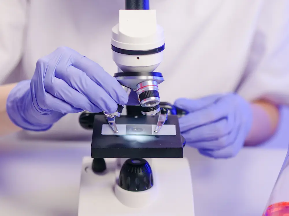 Rockwall dentist performing saliva testing under a microscope